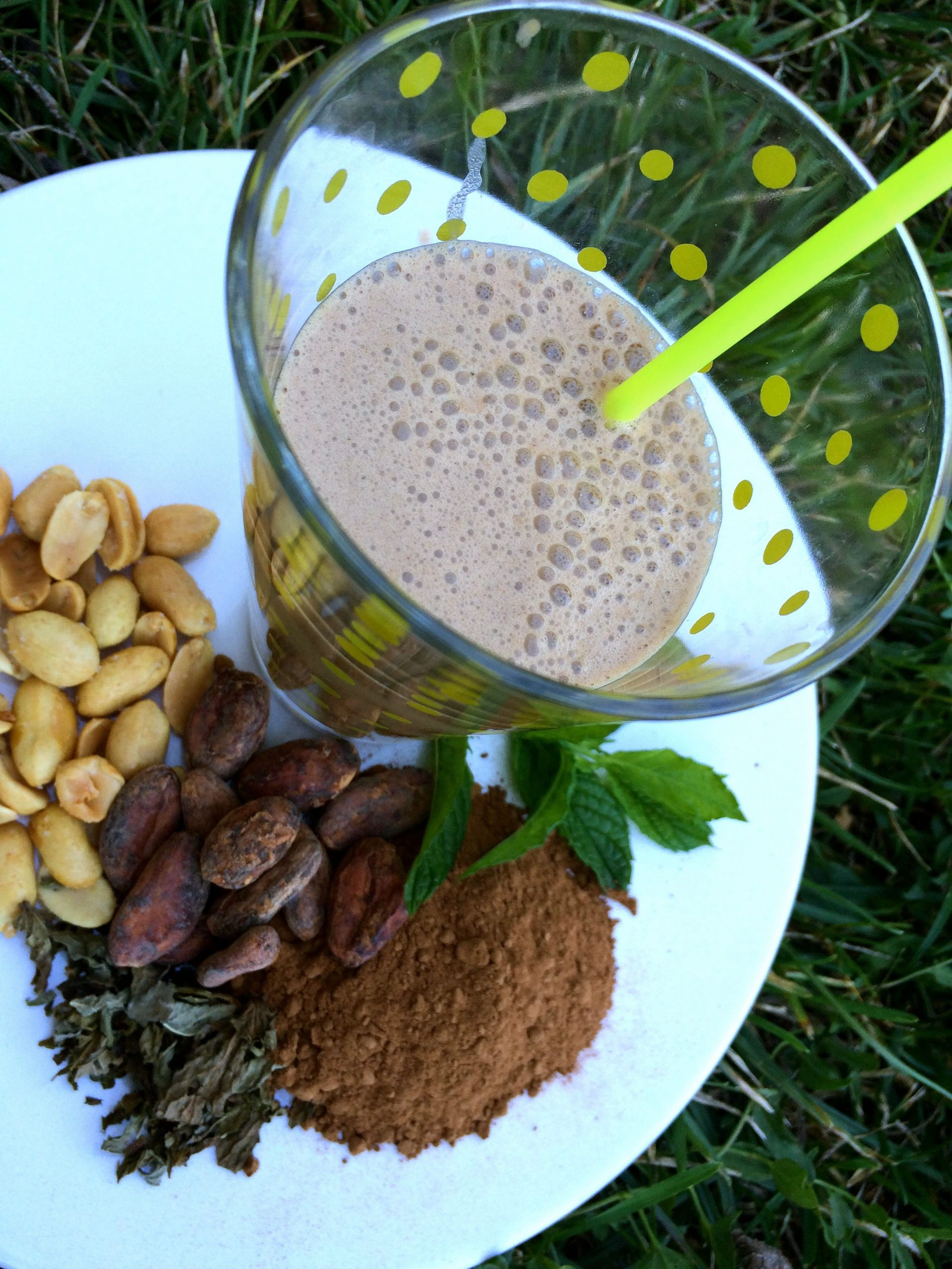 cómo hacer vegana de leche de cacahuete cacao y menta sin gluten sin lactosa