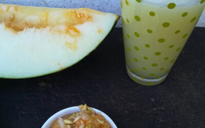 vaso con zumo de melón junto a semillas de melón y trozo de melón