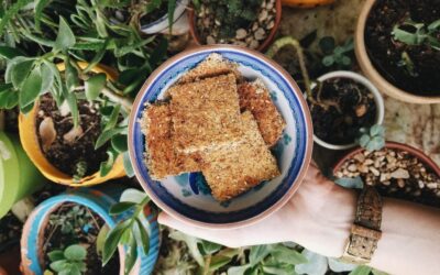 receta crackers pulpa de chufa